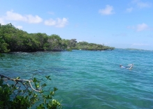Imagen Snorkel - Concha Perla